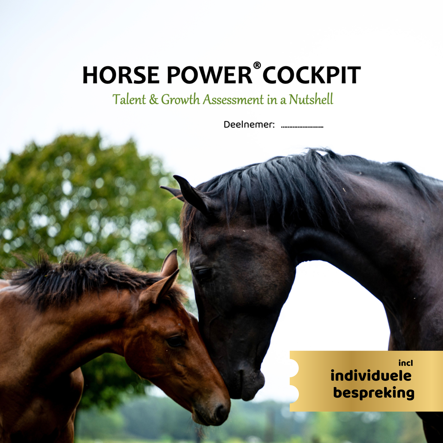 Horsepower® cockpit - incl nabespreking