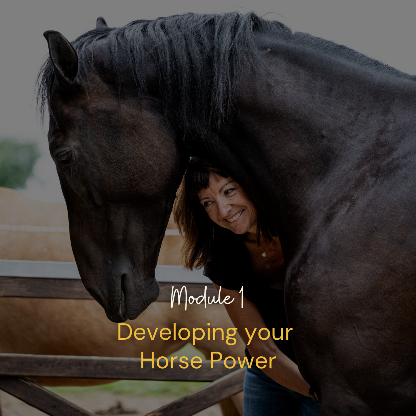 Horse Wisdom Module 1 - Developing your Horse Power